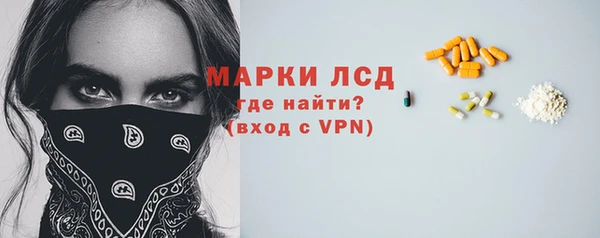 PSILOCYBIN Алзамай