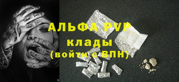 PSILOCYBIN Алзамай
