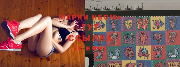 PSILOCYBIN Алзамай