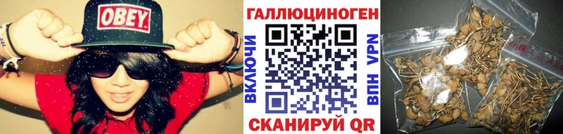 Галлюциногенные грибы Magic Shrooms  Бабаево 