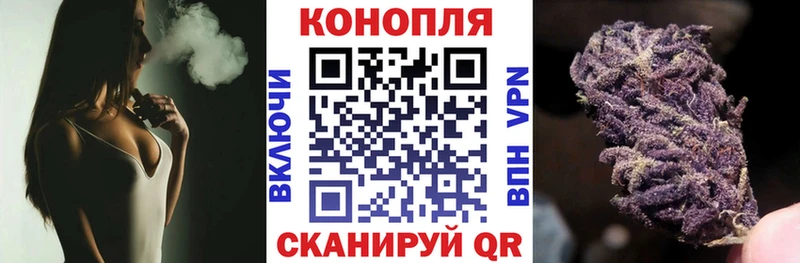 Марихуана план  Бабаево 